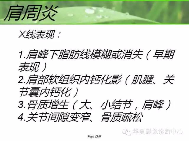 X线读片基础——肩周炎