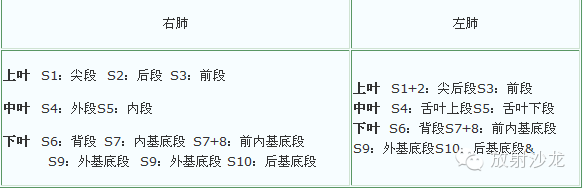 左右肺叶、段及叶间裂胸膜正侧位X线胸片定位