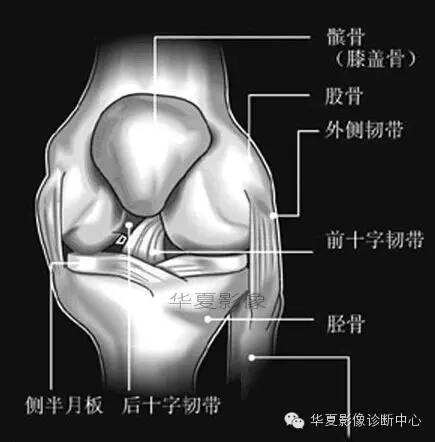 髌骨软骨软化症影像诊断 髌骨软骨软化症影像诊断