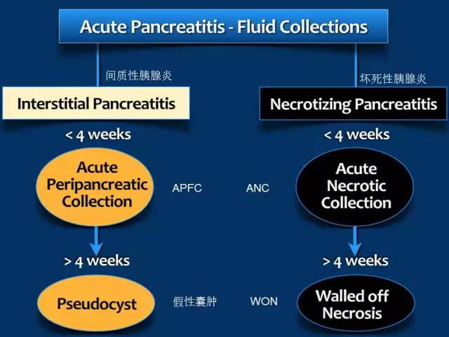 【PPT】急性胰腺炎亚特兰大分类2012年修订版