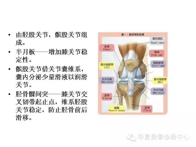 【PPT】深刻理解膝关节骨性关节炎