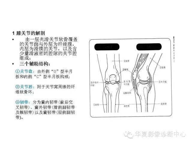 【PPT】深刻理解膝关节骨性关节炎