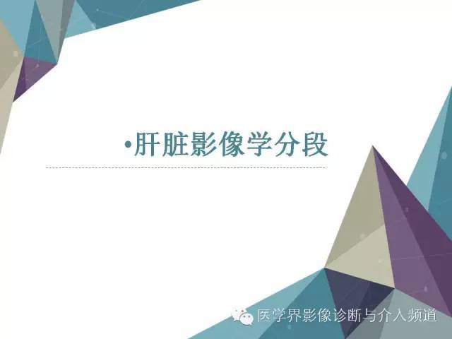【PPT】肝脏影像学分段