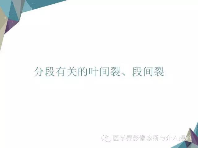【PPT】肝脏影像学分段