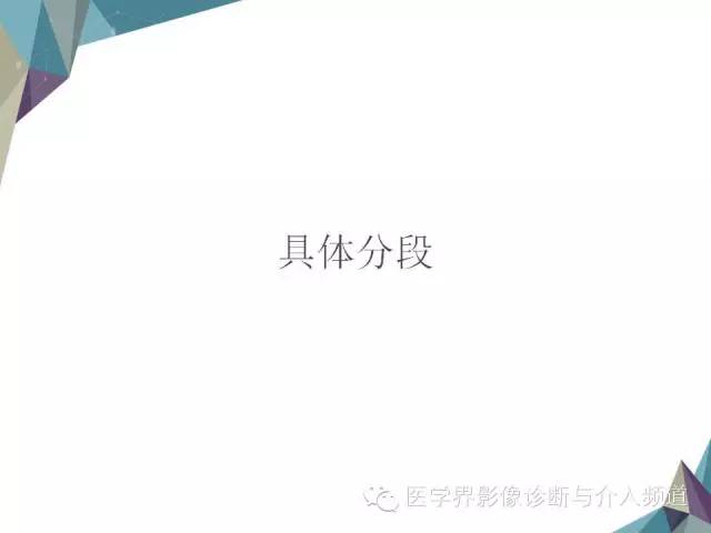 【PPT】肝脏影像学分段