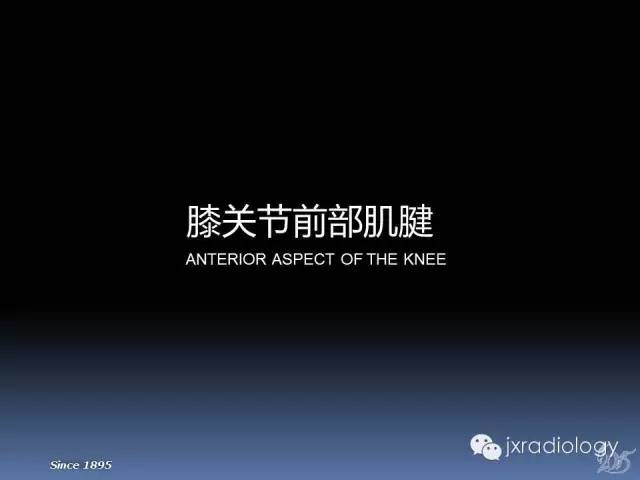 【PPT】膝关节肌腱病变的磁共振诊断
