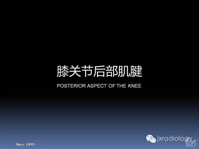 【PPT】膝关节肌腱病变的磁共振诊断