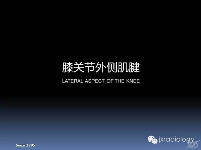 【PPT】膝关节肌腱病变的磁共振诊断