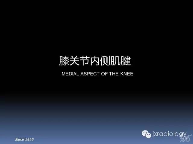 【PPT】膝关节肌腱病变的磁共振诊断