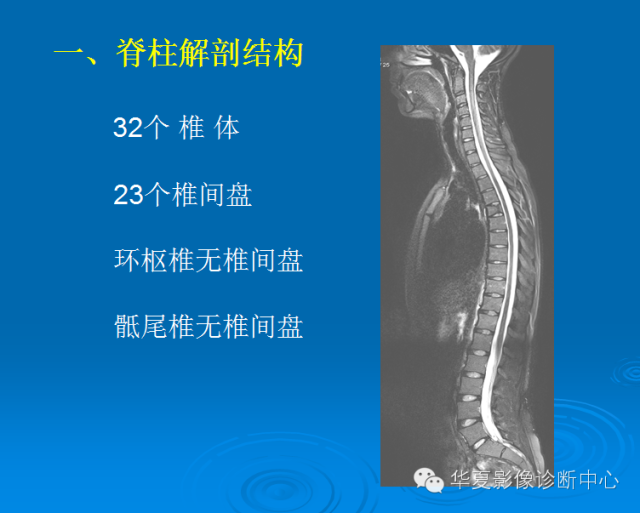 【PPT】椎间盘退变某些MR征象再认识