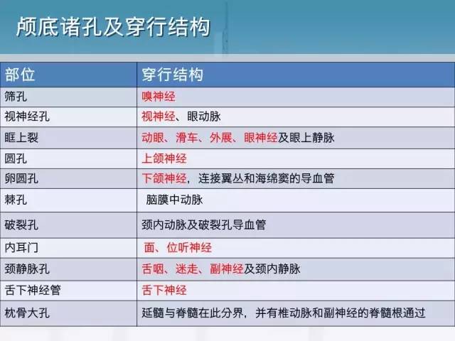 【PPT】鼻咽癌靶区勾画的相关解剖——颅底诸孔