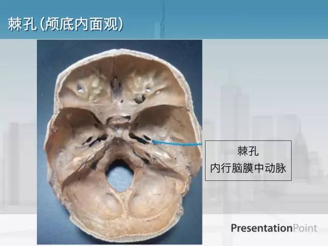 【PPT】鼻咽癌靶区勾画的相关解剖——颅底诸孔