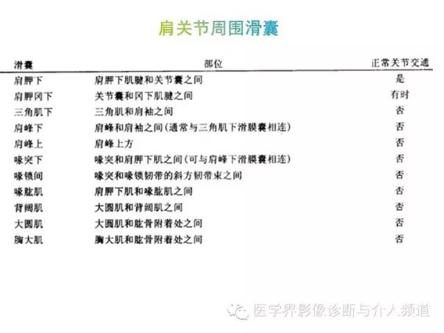 【PPT】肩关节解剖及正常MR表现