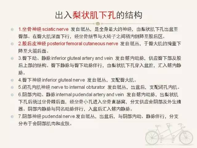 【PPT】梨状肌综合征