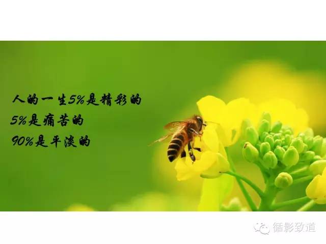 【病例】视神经脊髓炎谱系病1例MR影像表现