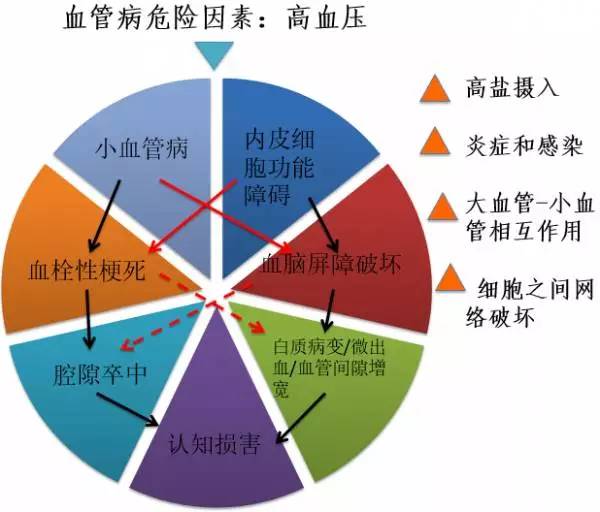 一图读懂被很多医生误诊、漏诊的脑小血管病