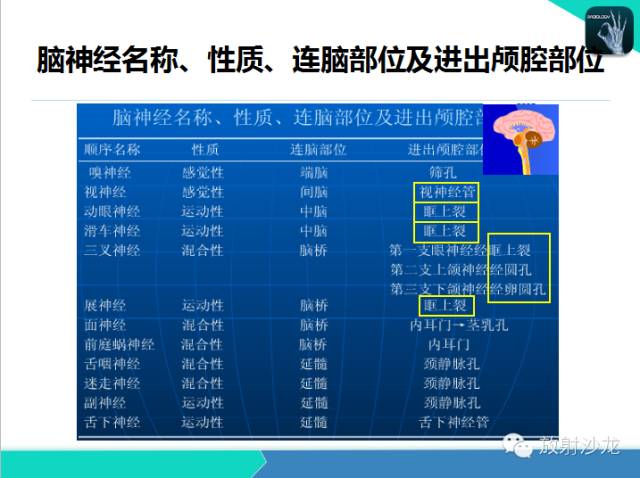 【PPT】鼻咽部CT解剖