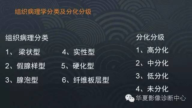 【PPT】肝细胞肝癌的分类及分期
