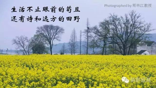 【病例】中枢神经系统淋巴瘤1例MR影像表现