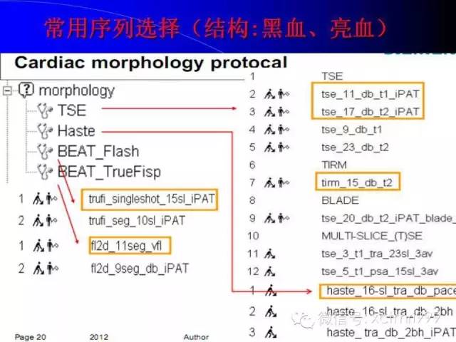 【PPT】心脏MRI及直肠高分辨技术