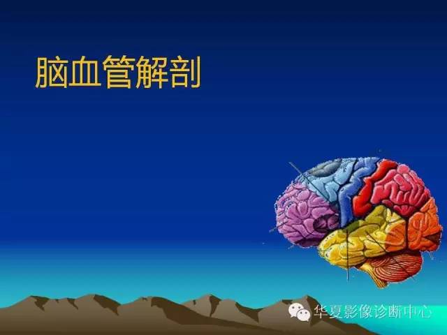 【PPT】脑血管解剖