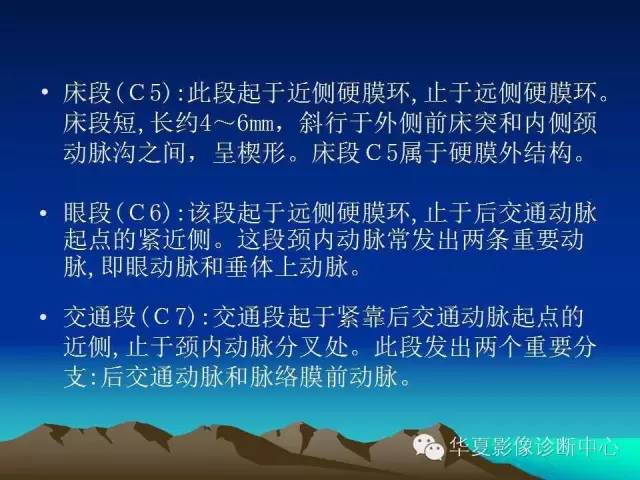 【PPT】脑血管解剖