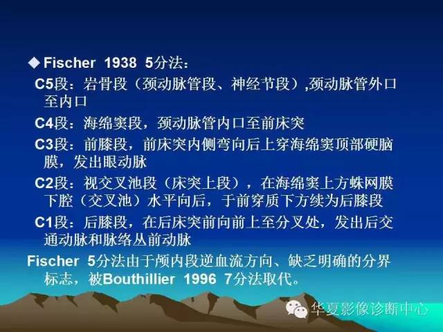 【PPT】脑血管解剖