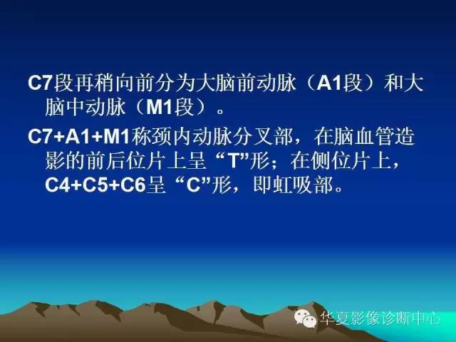 【PPT】脑血管解剖
