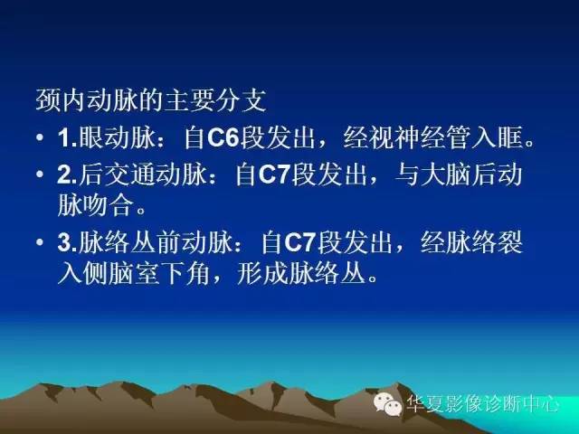 【PPT】脑血管解剖