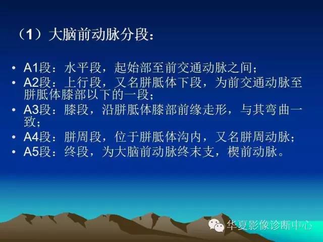 【PPT】脑血管解剖