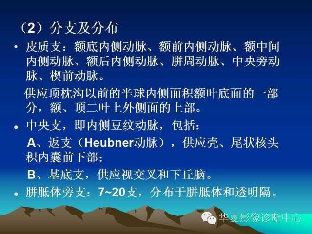 【PPT】脑血管解剖