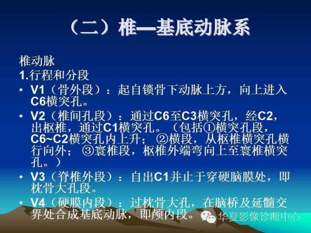 【PPT】脑血管解剖