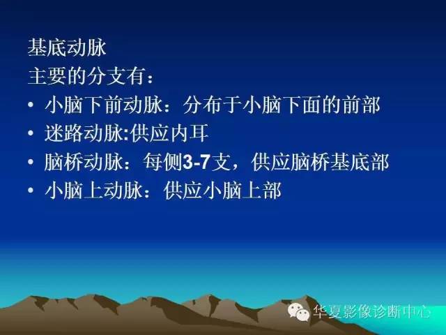 【PPT】脑血管解剖