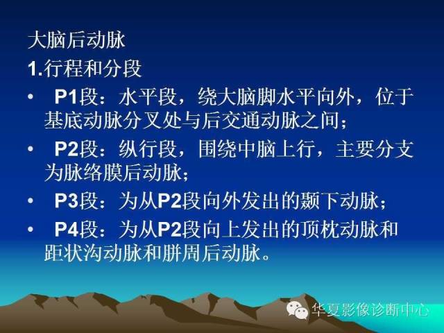 【PPT】脑血管解剖