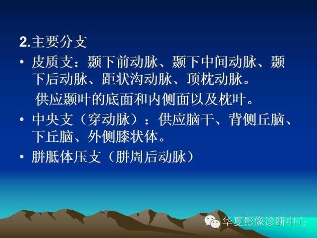 【PPT】脑血管解剖