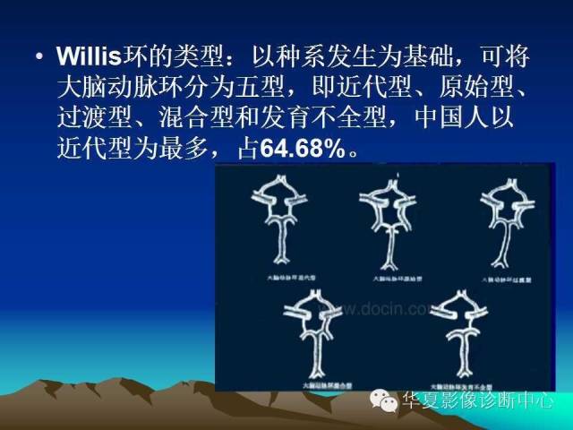 【PPT】脑血管解剖