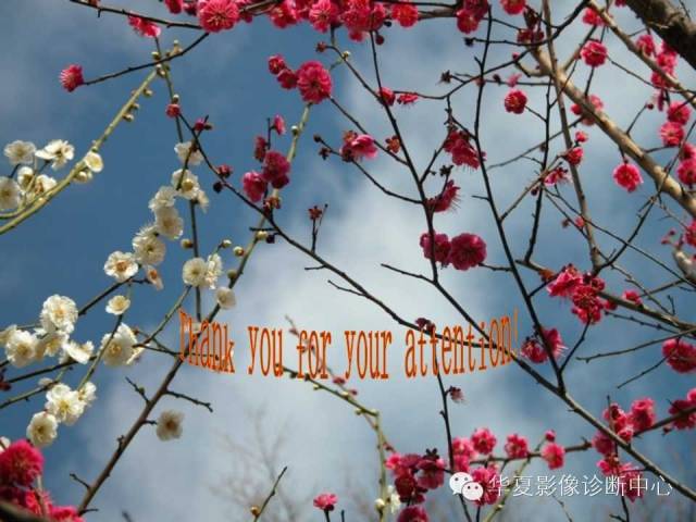 【PPT】脑血管解剖
