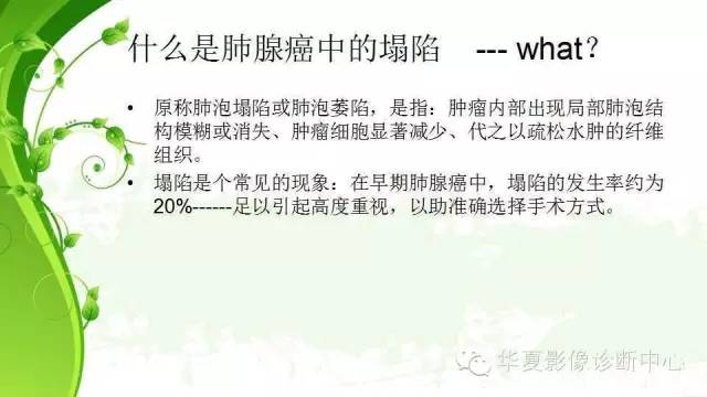 【PPT】早期肺腺癌中塌陷的病理影像分析