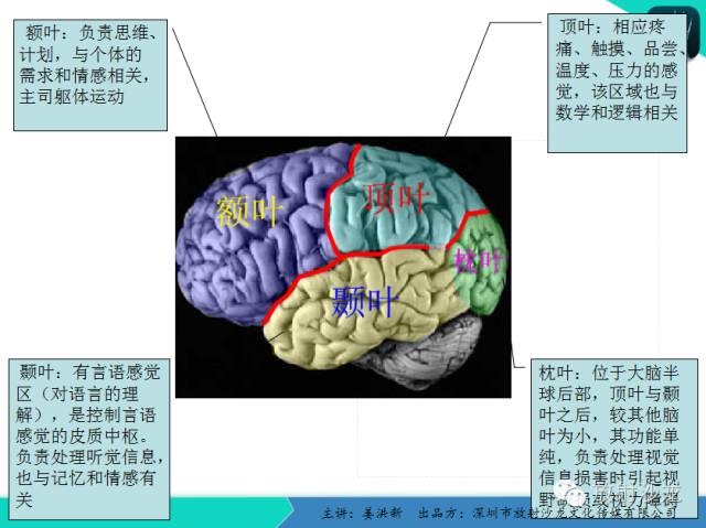 【PPT】高清分辨、精准定位、精准诊断、精准医疗的脑血管疾病应用研究