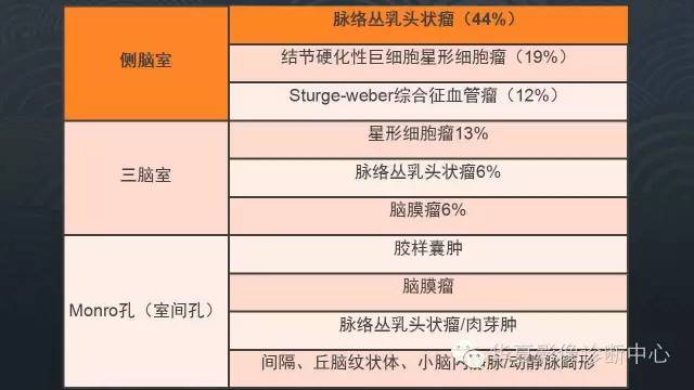 【PPT】脑室常见实质性占位病变的诊断