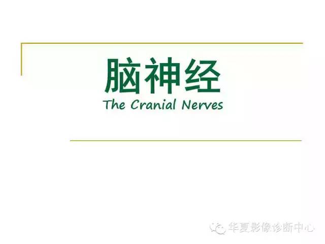 【PPT】脑神经