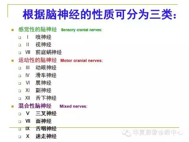 【PPT】脑神经
