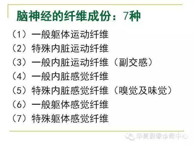 【PPT】脑神经