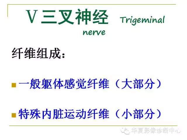 【PPT】脑神经