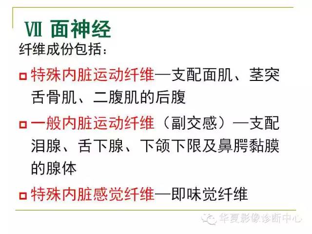【PPT】脑神经