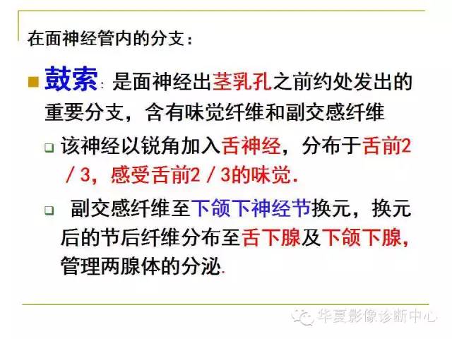 【PPT】脑神经