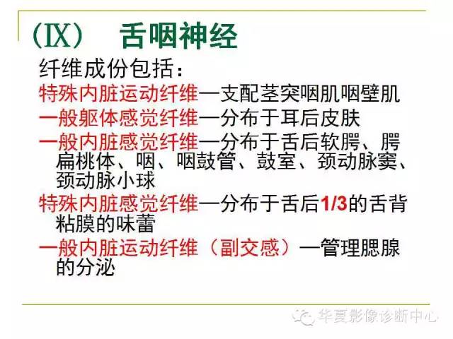 【PPT】脑神经