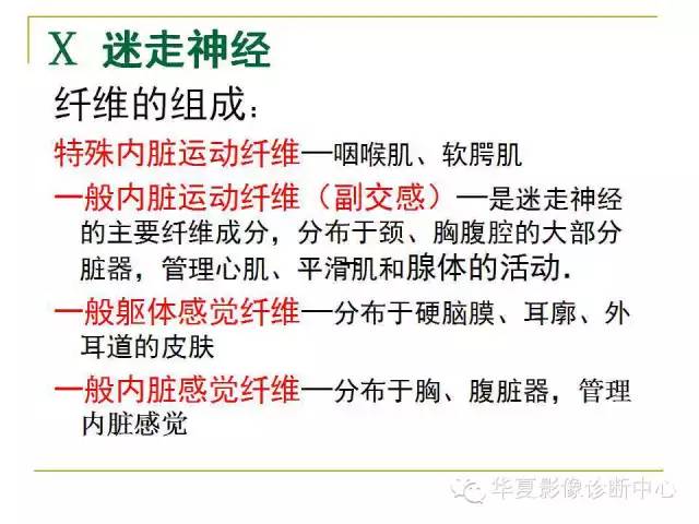 【PPT】脑神经