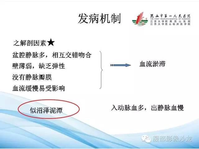 【PPT】盆腔淤血综合征CTA表现 【PPT】盆腔淤血综合征CTA表现