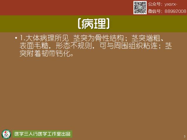 【PPT】茎突综合征